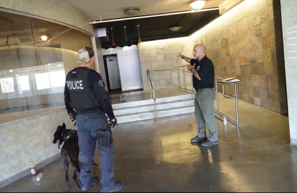 Canine detection training in an operational environment